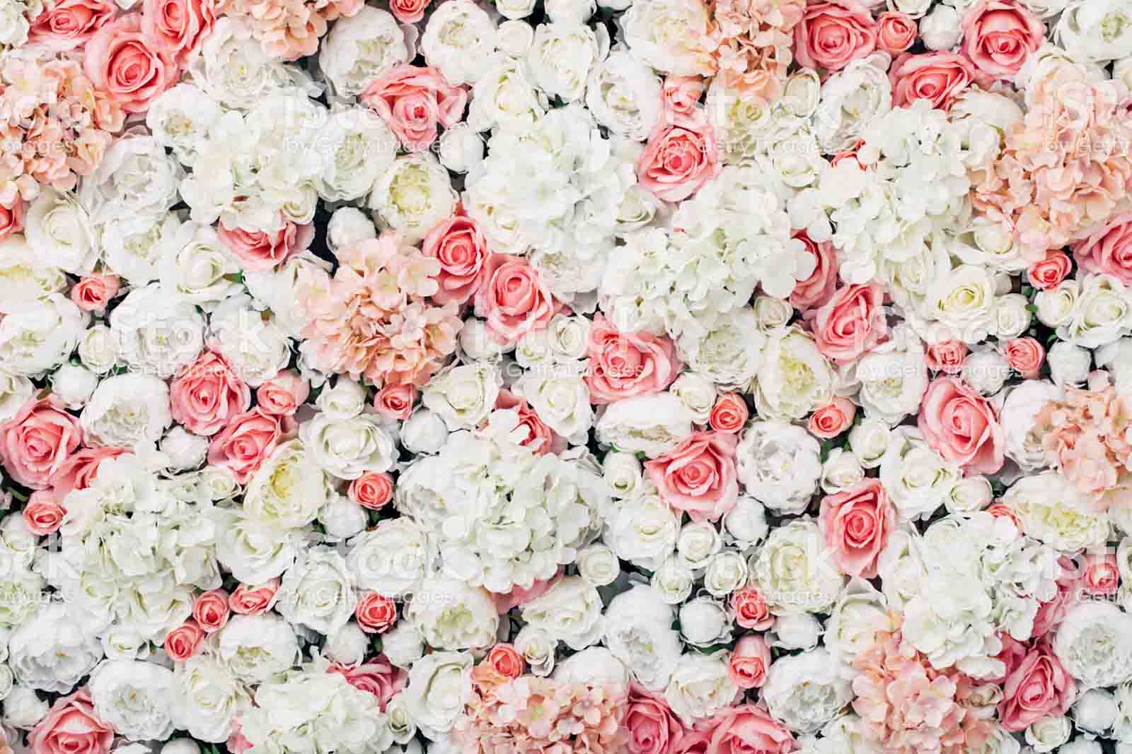 دفتر ازدواج30 تبریز